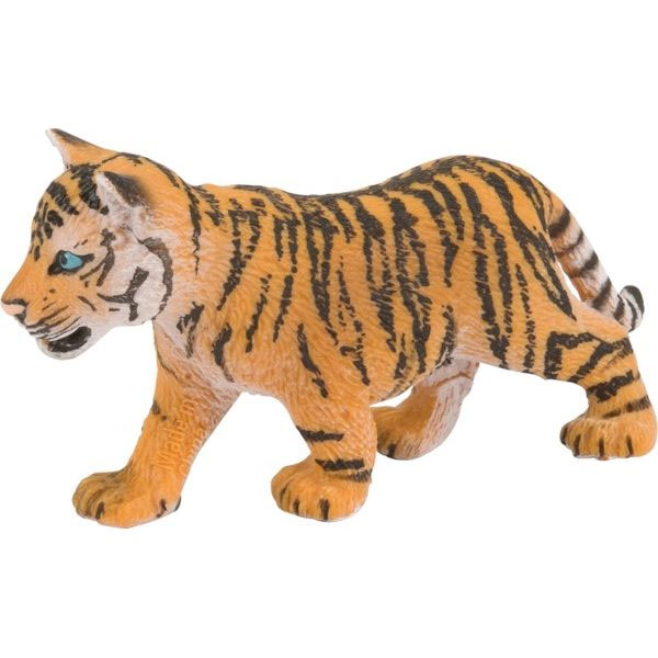 Junger Bengalischer Tiger