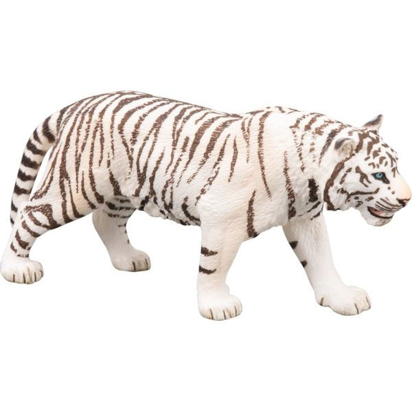 Junger weißer Tiger
