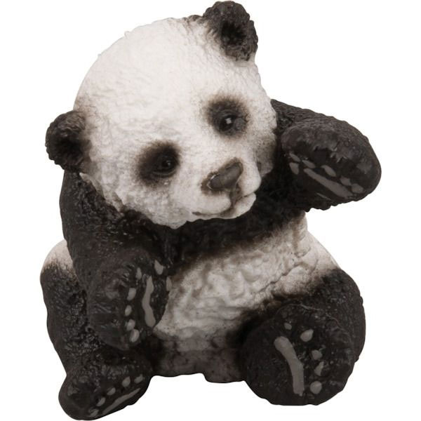 Junger Panda, spielend
