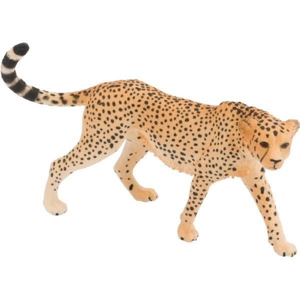Leopard, Weibchen